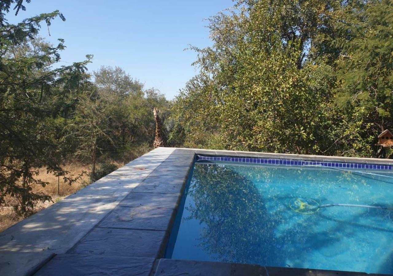 Lionsview Private Lodge - 6 Lions Marloth Park Kültér fotó