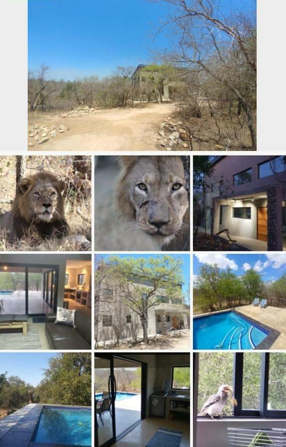 Lionsview Private Lodge - 6 Lions Marloth Park Kültér fotó
