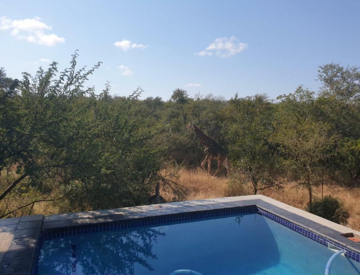 Lionsview Private Lodge - 6 Lions Marloth Park Kültér fotó